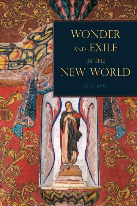 Wonder and Exile in the New World cover