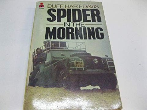 Spider in the Morning cover
