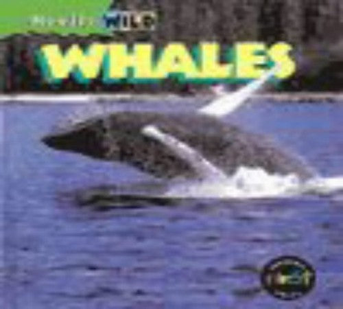 Really Wild: Whales