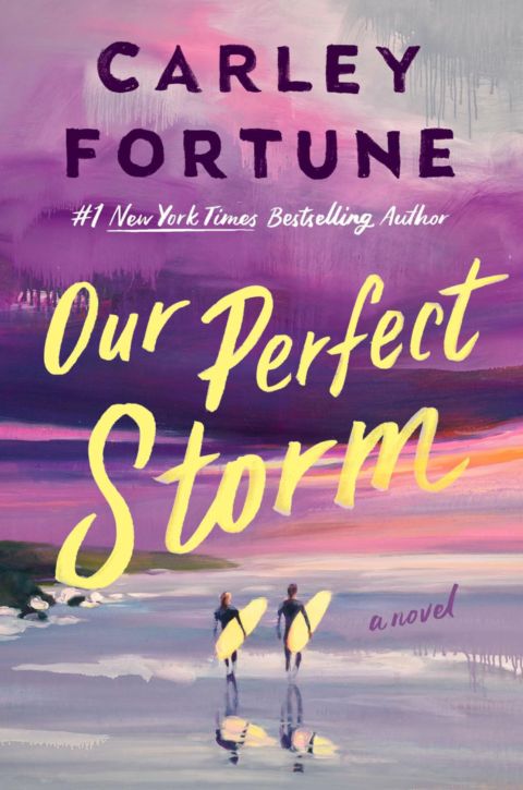 Our Perfect Storm cover