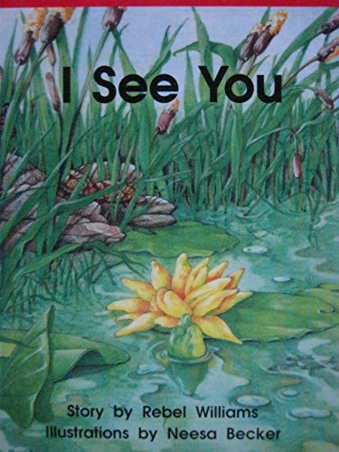 I See You [TWiG Books Set E]