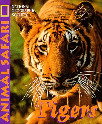 Animal Safari