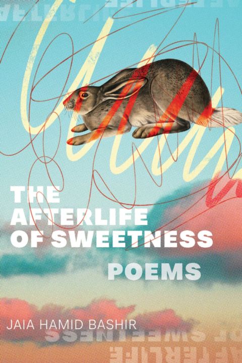 The Afterlife of Sweetness cover