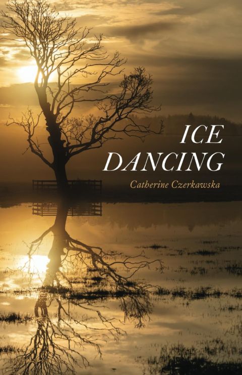 Ice Dancing cover
