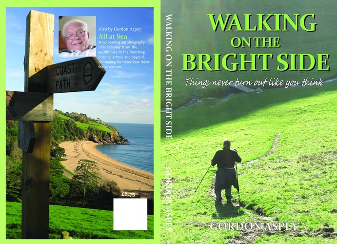walking on the bright side cover art