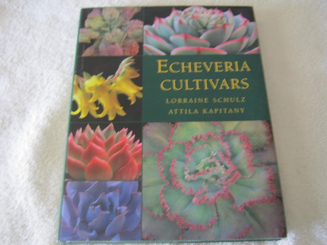 Echeveria Cultivars