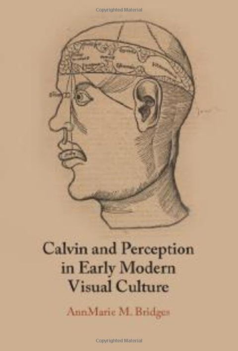 Calvin and Perception in Early Modern Visual Culture