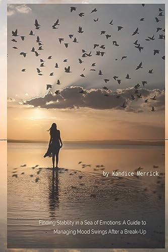 Finding Stability in a Sea of Emotions cover