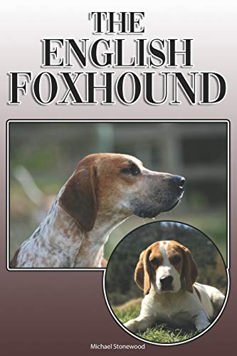 The English Foxhound cover