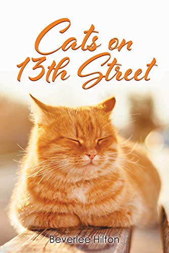 Cats on 13th Street cover