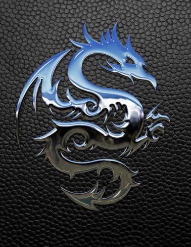 Dragon Sketchbook: 110 Blank Pages | Practice Drawing | Sketching | Do cover