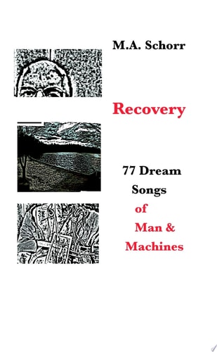 Recovery cover