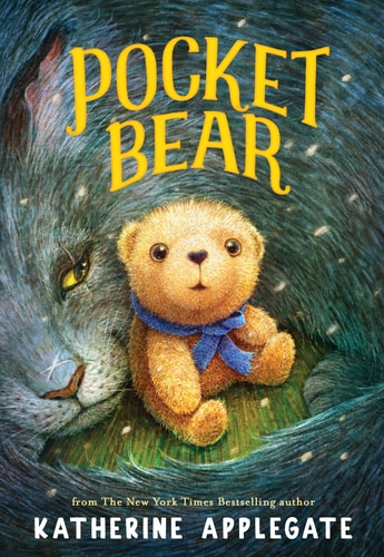 POCKET BEAR