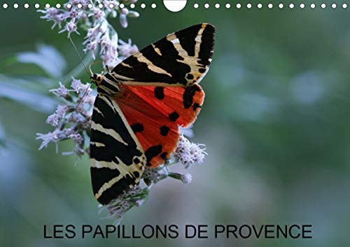 Les papillons de Provence (Calendrier mural 2020 DIN A4 horizontal): Les beaux papillons aux couleurs de la Provence. (Calendrier mensuel, 14 Pages )