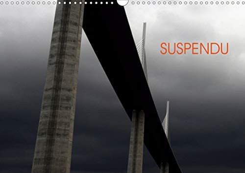 SUSPENDU (Calendrier mural 2021 DIN A3 horizontal): Ponts et viaducs de France (Calendrier mensuel, 14 Pages ) cover