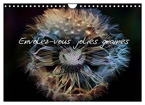 Envolez-vous jolies graines (Calendrier mural 2023 DIN A4 horizontal): Photos de graines de fleurs de pissenlits (Calendrier mensuel, 14 Pages ) cover