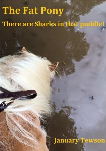 The Fat Pony - There are Sharks in that puddle! cover