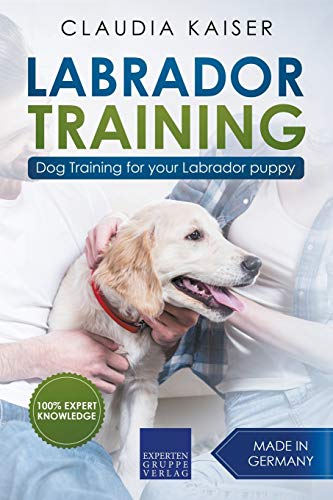 Labrador Training cover art