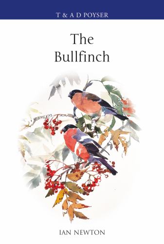The Bullfinch cover art