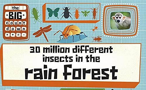 30 Million Different Insects in the Rainforest