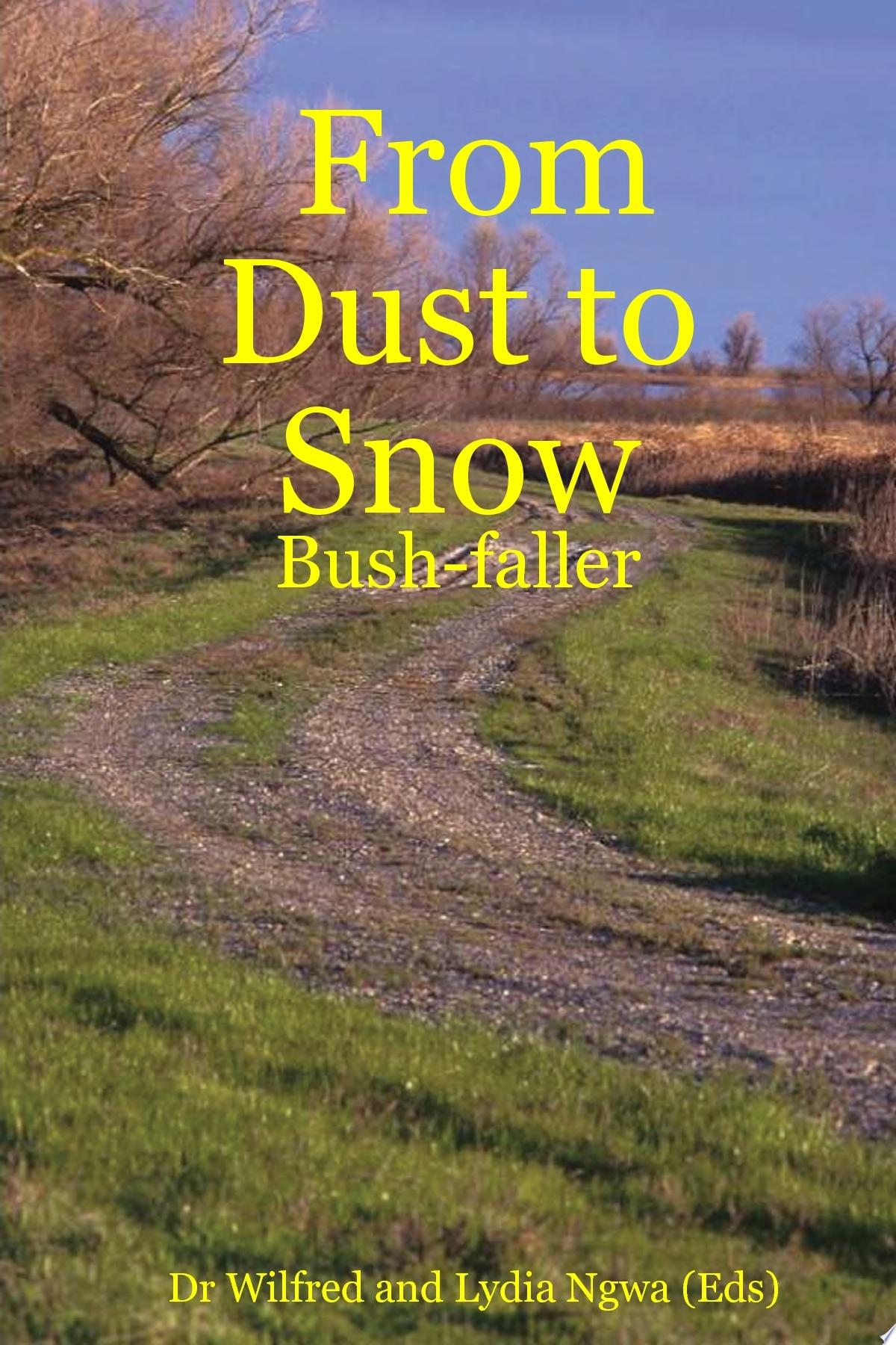 From Dust to Snow cover