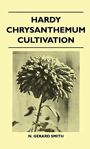 Hardy Chrysanthemum Cultivation cover