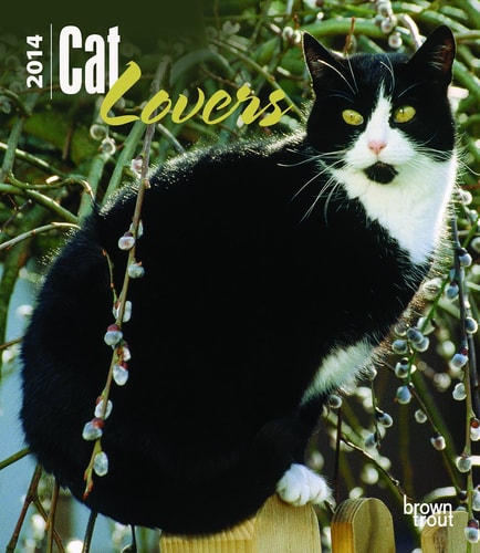 Cat Lovers 2014 Calendar