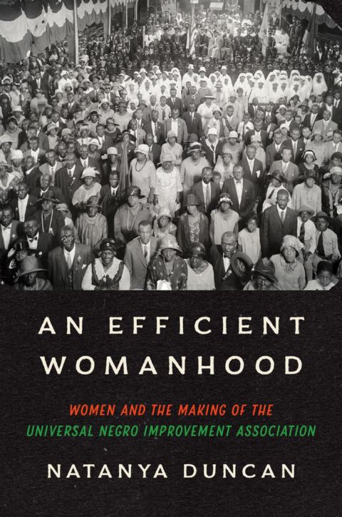 An Efficient Womanhood cover