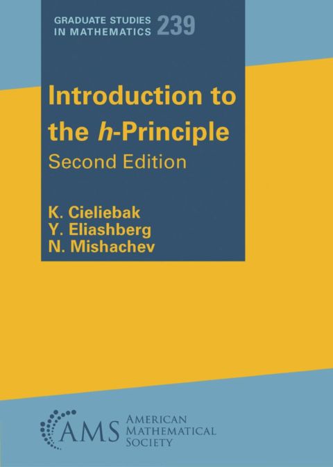 Introduction to the H-Principle cover