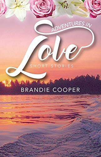Adventures In Love cover