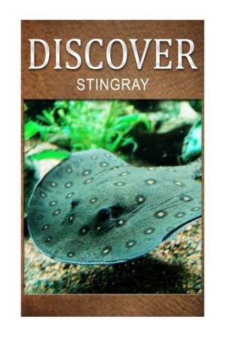 Stingray - Discover cover