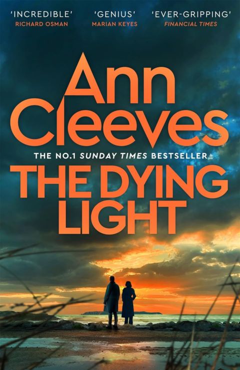 The Dying Light cover