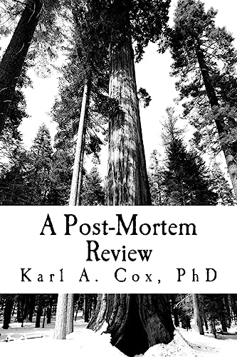 A Post-Mortem Review cover
