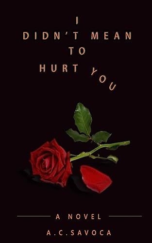 I Didn't Mean to Hurt You cover