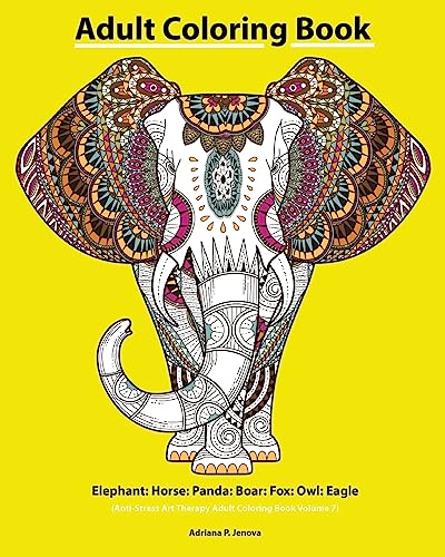 Adult Coloring Book cover