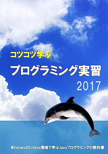 Study Steadily Java Programming Practice 2017 cover