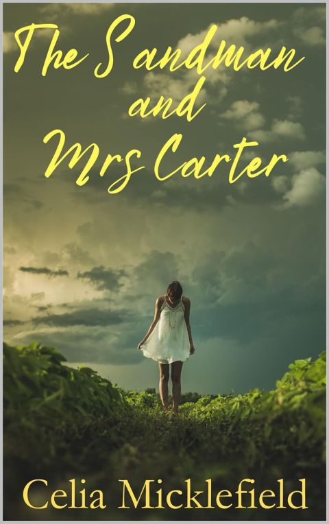 The Sandman and Mrs Carter cover
