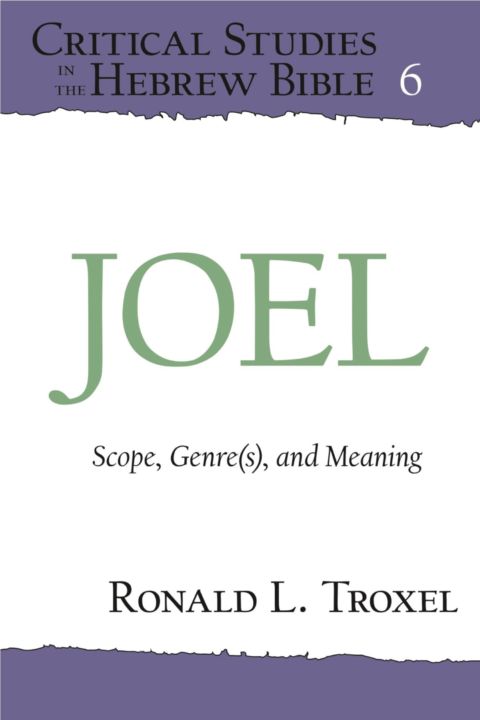 Joel cover