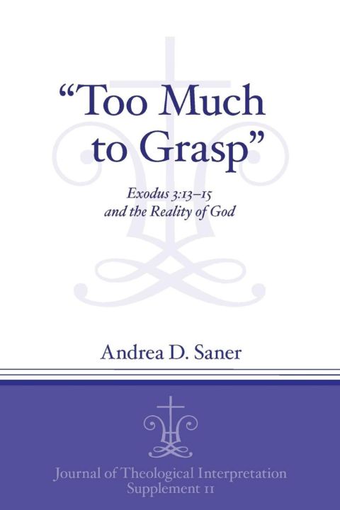 Too Much to Grasp cover