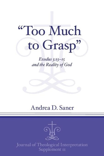 Too Much to Grasp cover