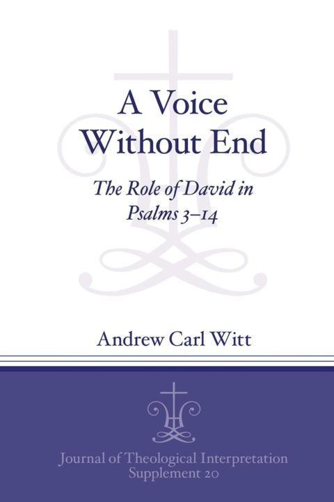 A Voice Without End cover