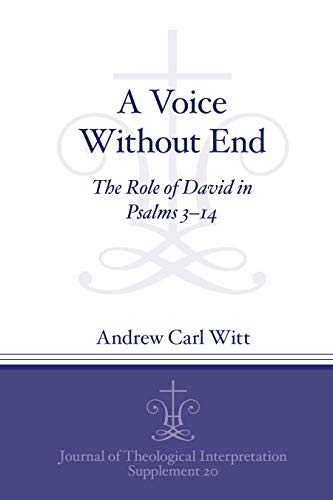 A Voice Without End cover