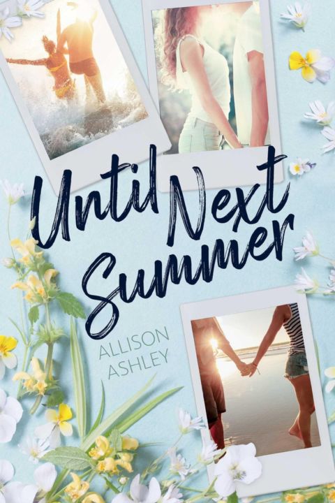 Until Next Summer cover