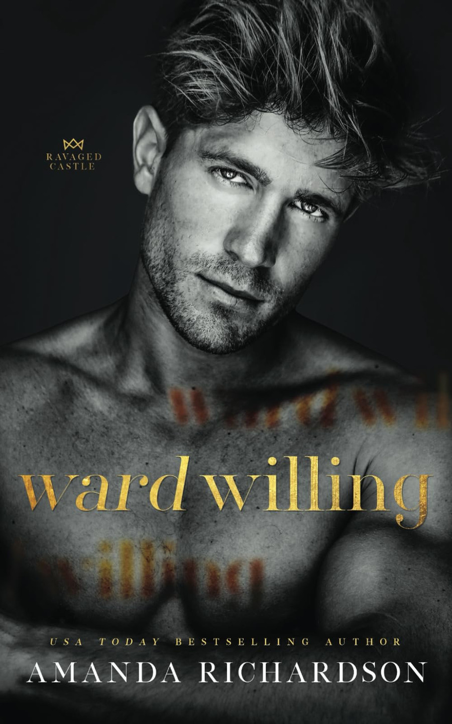 Ward Willing (Ravaged Castle), front cover
