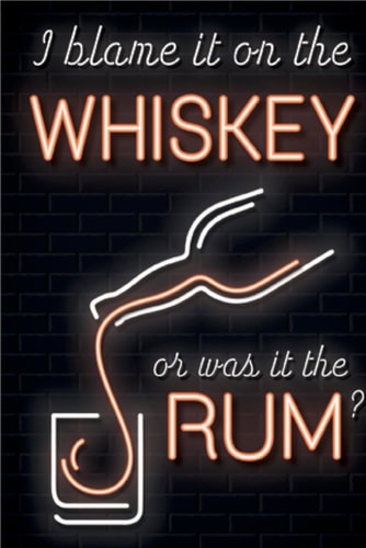I Blame it on the Whiskey or was it the Rum? cover