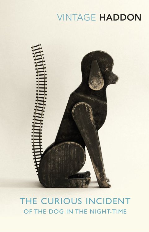 The Curious Incident of the Dog in the Night-time cover