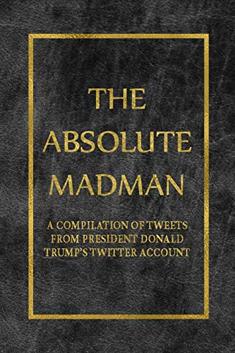 The Absolute Madman cover