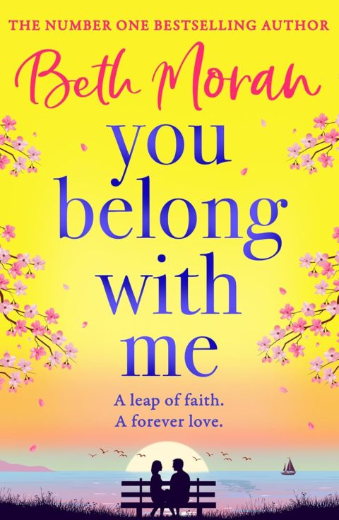 You Belong With Me cover