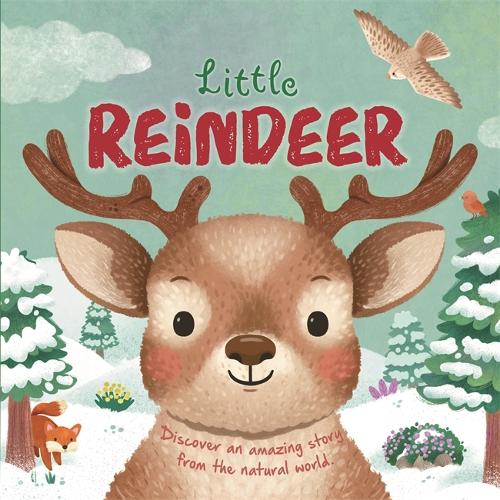 Little Reindeer cover