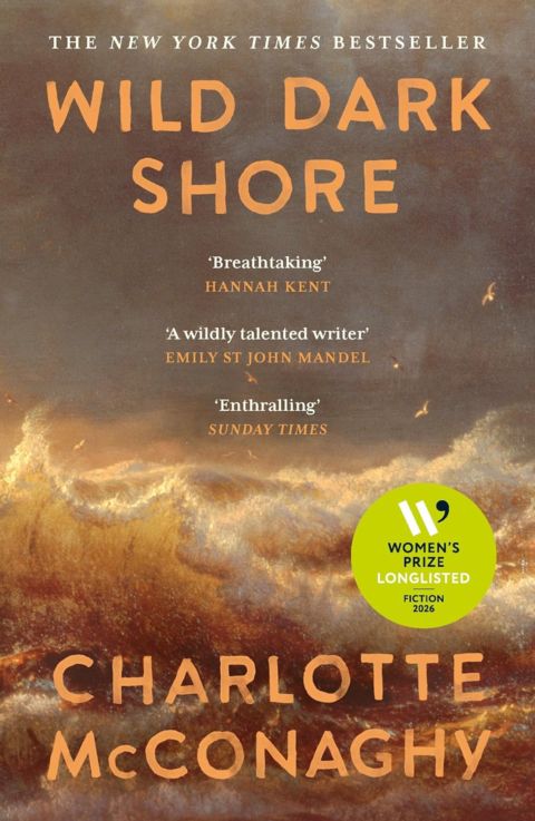 Wild Dark Shore cover